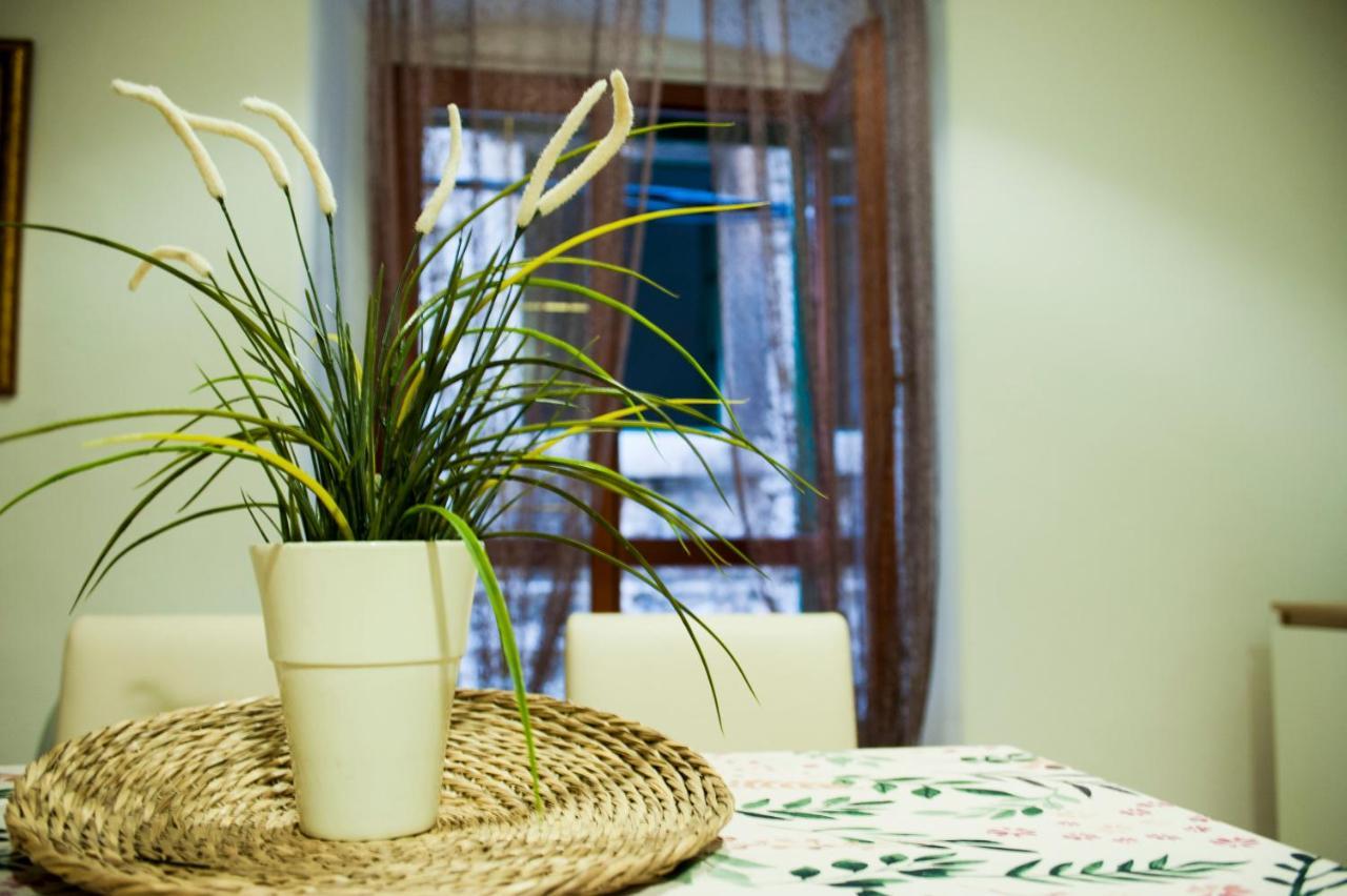 Apartman Flower ชิเบนิก ภายนอก รูปภาพ