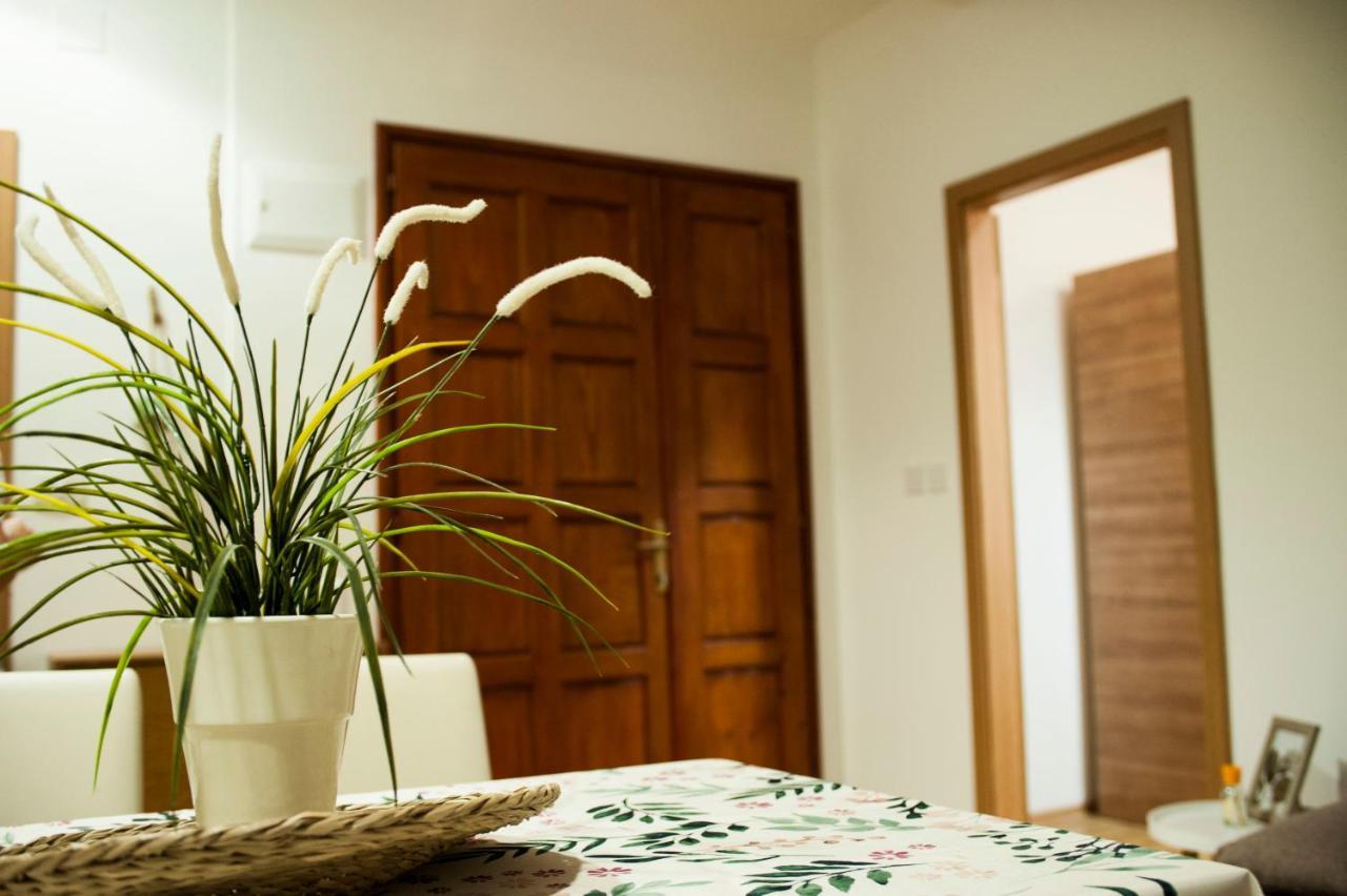 Apartman Flower ชิเบนิก ภายนอก รูปภาพ